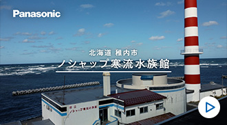 ノシャップ寒流水族館(北海道)　動画