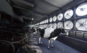 次世代閉鎖型牛舎システム