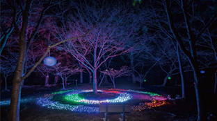為松公園ライトアップ（四万十市郷土博物館） | ライトアップ演出用照明器具（LEDカラー演出照明）｜納入事例 | 
