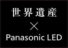 EY×Panasonic LED